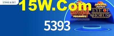 Premium Interface 5393